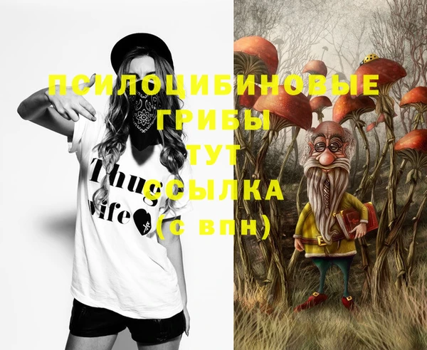 дживик Струнино