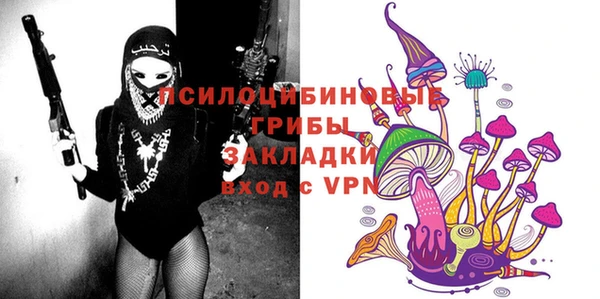 гидропоника Белокуриха