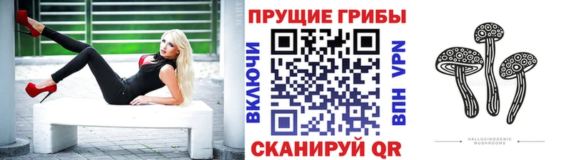 Галлюциногенные грибы мицелий  хочу наркоту  Кыштым 